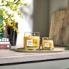 STARFRUIT & SUNSHINE Świeca mała - Yankee Candle