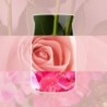 FRESH CUT ROSES Świeca średnia - Yankee Candle