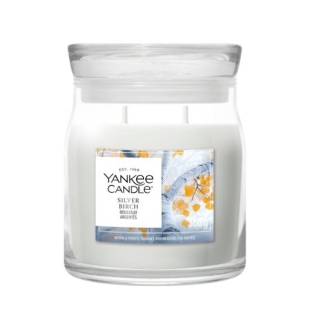 SILVER BIRCH Świeca średnia - Yankee Candle