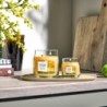 STARFRUIT & SUNSHINE Świeca średnia - Yankee Candle