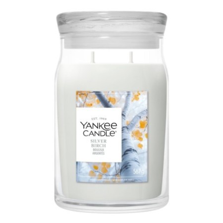 SILVER BIRCH Świeca duża - Yankee Candle