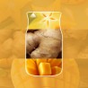 STARFRUIT & SUNSHINE Świeca duża - Yankee Candle