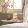 TANGERINE & VANILLA Świeca duża - Yankee Candle