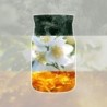 SILVER BIRCH Świeca mini - Yankee Candle
