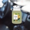 SAGE & CITRUS Car jar® - Yankee Candle