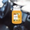 STARFRUIT & SUNSHINE Car jar® - Yankee Candle