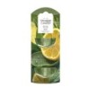 SAGE & CITRUS Uzupełniacz do odświeżacza elektrycznego - Yankee Candle