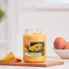 MANGO PEACH SALSA Słoik duży - Yankee Candle
