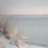 WINTER SEA Świeca mała z 1 knotem - Chesapeake Bay Fragrance
