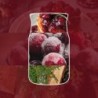 WOODLAND SPICE Świeca mała - Yankee Candle