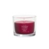WOODLAND SPICE Świeca mini - Yankee Candle