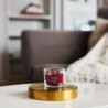 WOODLAND SPICE Świeca mini - Yankee Candle