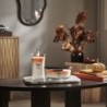 HEARTH SPICE ŚWIECA ELIPSA - WoodWick