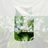 CLEAN COTTON® Pałeczki zapachowe 100ml - Yankee Candle