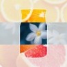 MIDNIGHT JASMINE Pałeczki zapachowe 100ml - Yankee Candle