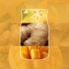 STARFRUIT & SUNSHINE Pałeczki zapachowe 100ml - Yankee Candle