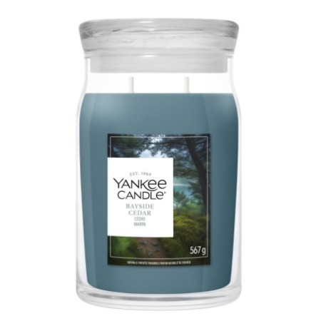 BAYSIDE CEDAR Świeca duża - Yankee Candle