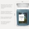 BAYSIDE CEDAR Świeca duża - Yankee Candle