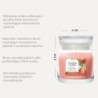 WHITE STRAWBERRY BELLINI Świeca mała - Yankee Candle
