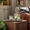 SAGE & CITRUS Świeca duża - Yankee Candle