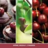 BLACK CHERRY Wosk - Yankee Candle