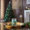 TREE TRIMMING Świeca średnia - Yankee Candle