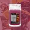JINGLE MINGLE Świeca duża - Yankee Candle