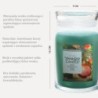 TREE TRIMMING Świeca duża - Yankee Candle